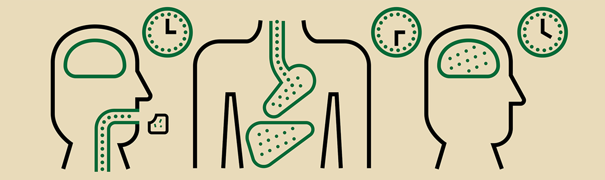 Le cannabis comestible