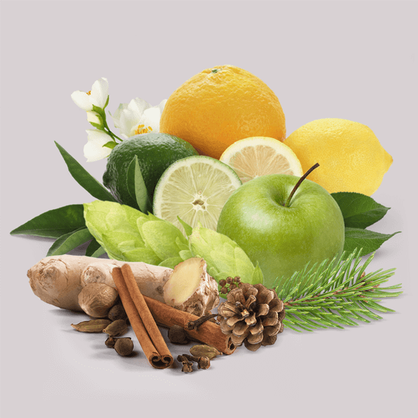 Illustration de divers éléments associés aux terpènes, incluant des agrumes (orange, citron, lime), une pomme verte, du gingembre, de la cannelle, des fleurs blanches, une pomme de pin, des branches de sapin et des épices, représentant les sources naturelles de terpènes