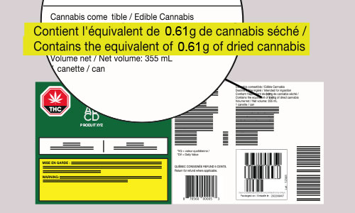 Serre de cannabis