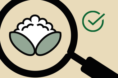 Cannabis edibles - Sweets banned in Québec